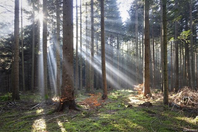 什么是負折射率?何為負折射率? 什么是負折射率?何為負折射率?
