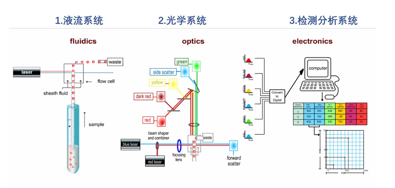 濾光片 流式細胞儀原理圖