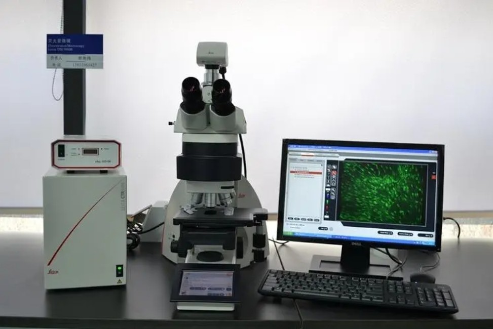 濾光片 熒光顯微鏡應用