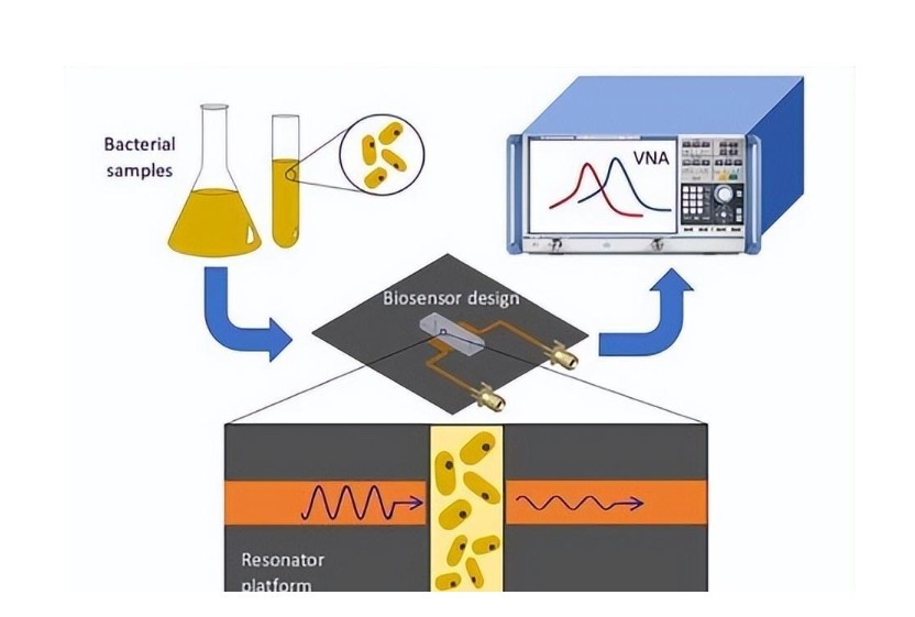 生物樣本光學傳感器中有色玻璃的應用 生物樣本光學傳感器中有色玻璃的應用