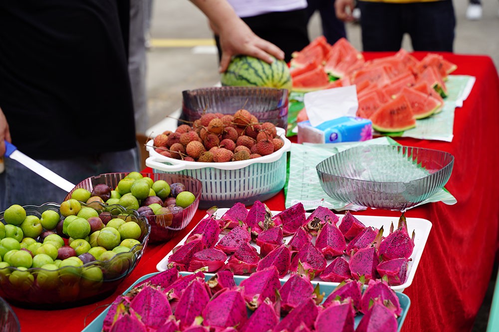 濾光片 激埃特趣味活動甜點