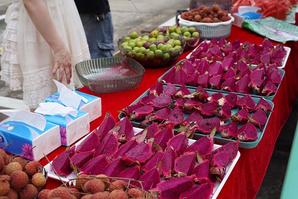 濾光片 激埃特趣味活動甜點水果