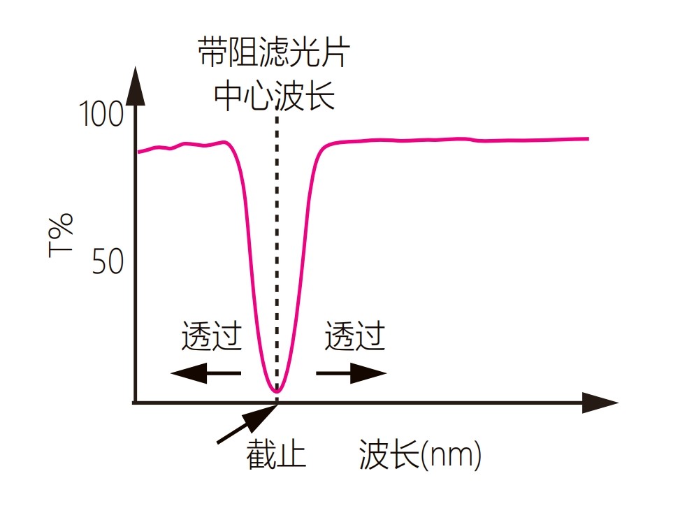 濾光片 陷波濾光片光譜圖