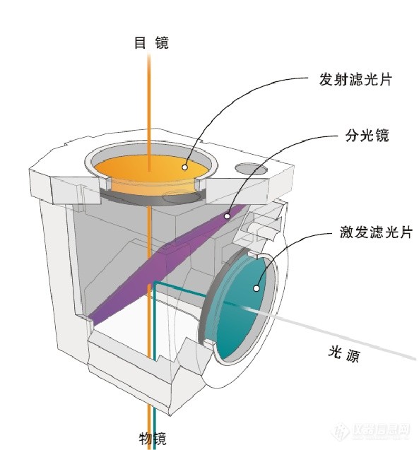 熒光成像結構 熒光成像結構