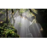 光的干涉、衍射、折射、反射、散射