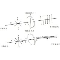 光的魔術師：偏光鏡如何塑造人類的光學世界